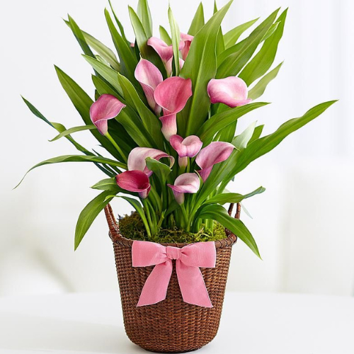 Brown and White Minimalist Elegant Simple Home Decor Company Logo (1)